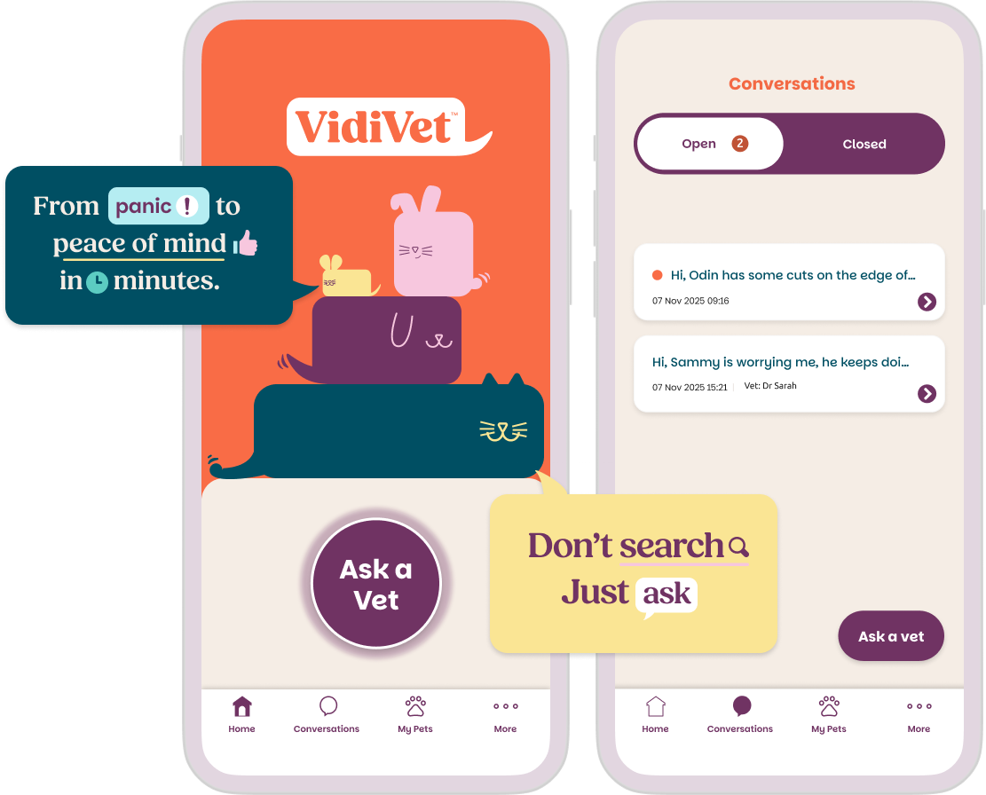 Find out more Image of how the Vidivet app looks with speach bubbles saying Don't search just ask